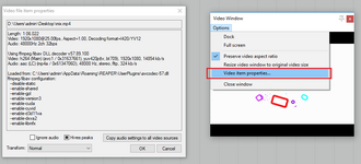 video_window.png