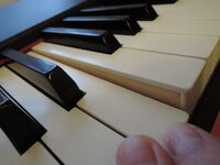 DSCN3391.JPG