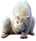 Facepalm-ours-blanc.png