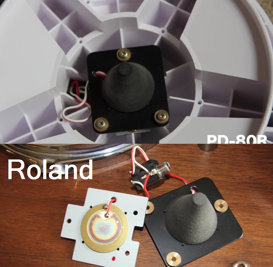 Roland.jpg