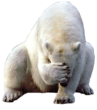 Facepalm-ours-blanc.png