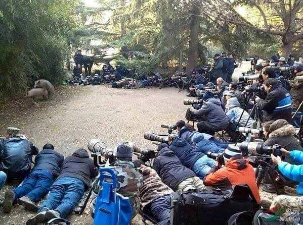 папарацци1.jpg
