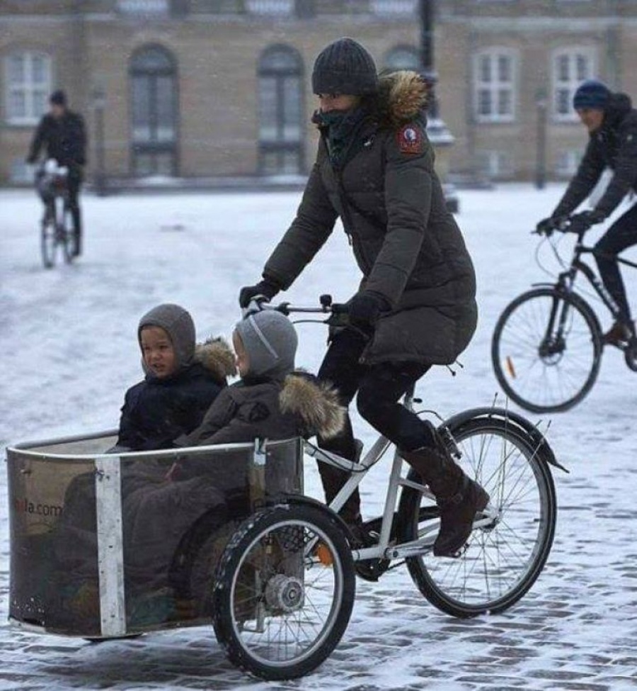 Мэри везет принца Винсента и принцессу Жозефину.jpg