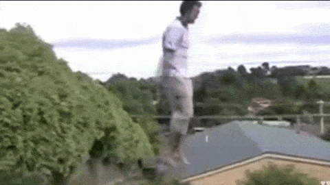 батут.gif