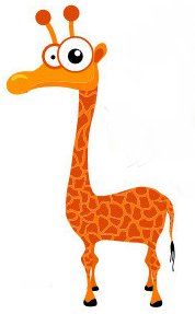 giraffe.jpg