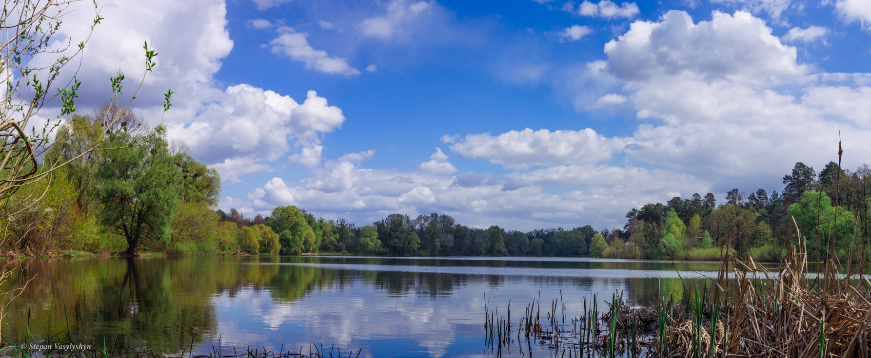 Forest Lake near my home.jpg