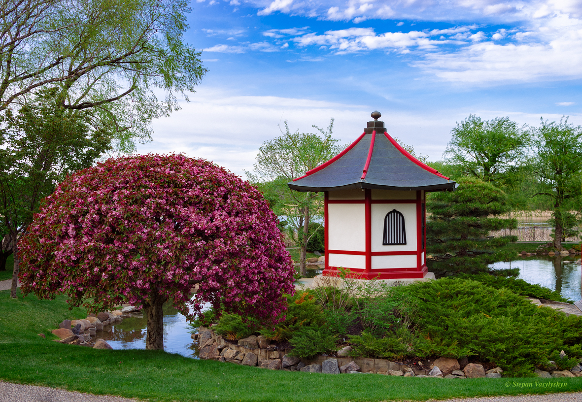 Minneapolis Japanese Garden.jpg