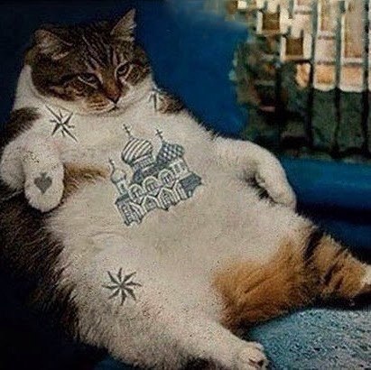 Кооотэээээ.jpg