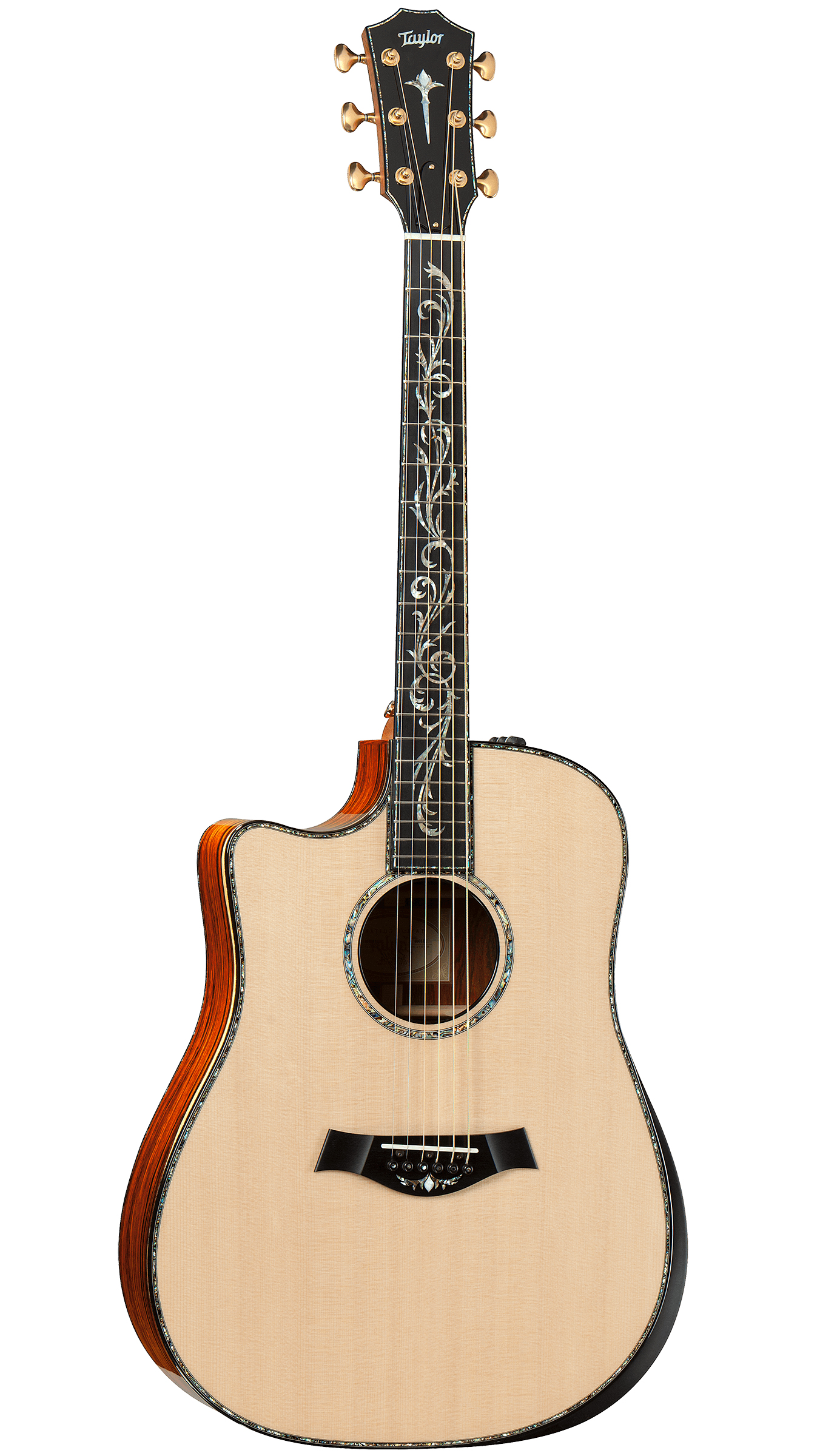 Taylor-PS10ce-fr-2012.jpg