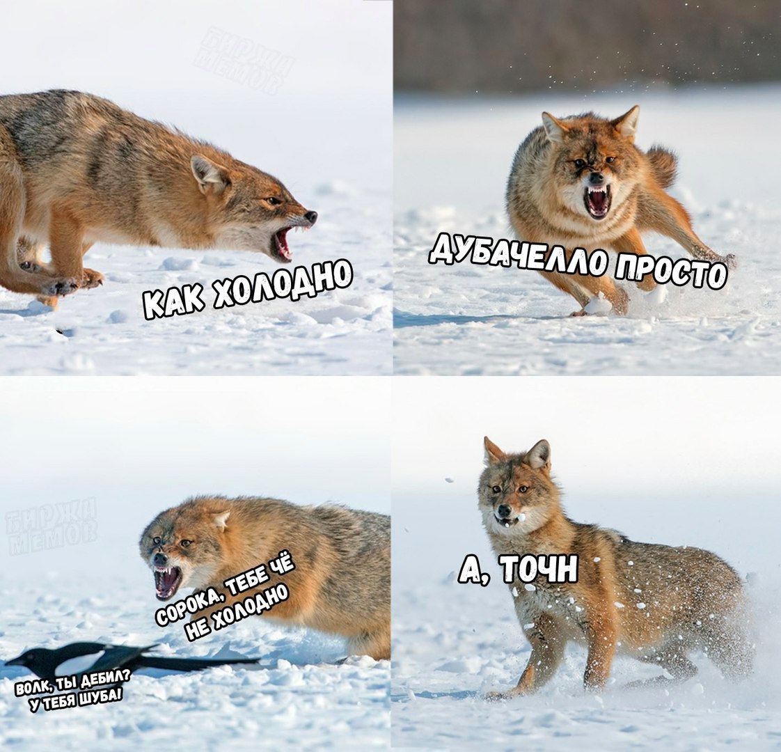 lr5WRGazj4o.jpg