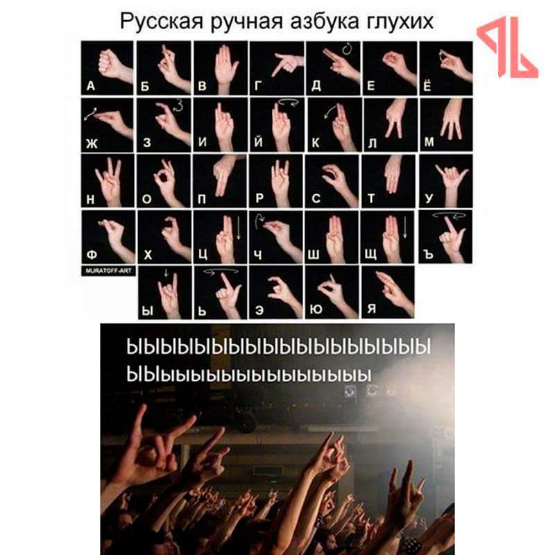 FB_IMG_1512296621910.jpg