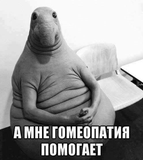 Гомеопатия.jpg
