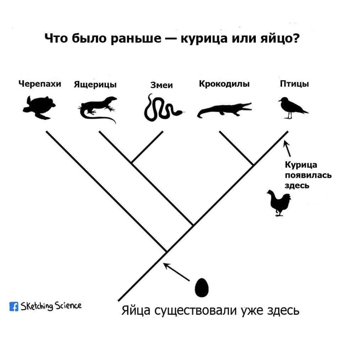 1520853688119779190.jpg