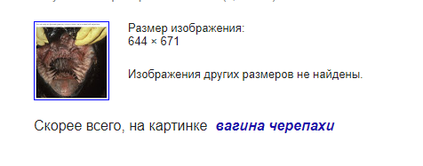 upload_2018-5-4_6-42-40.png