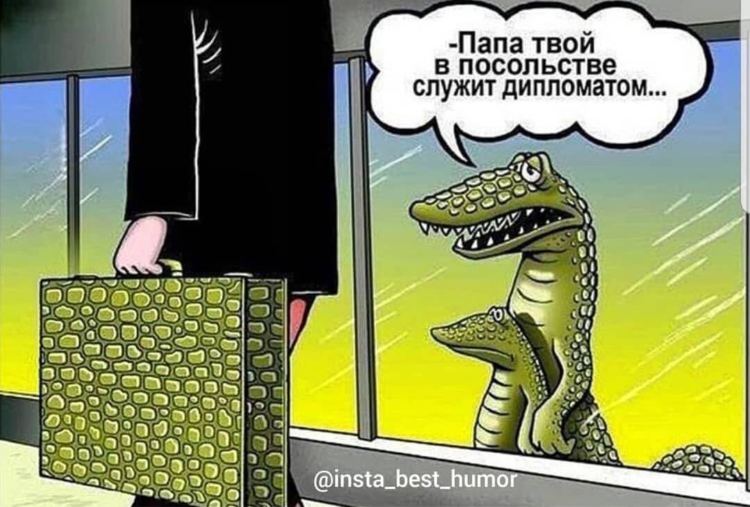 Дипломат.jpg