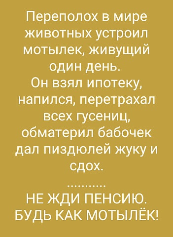 12067092.jpg