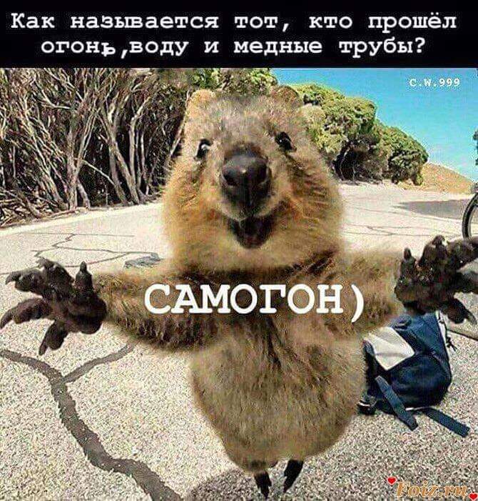 Самогон.jpg