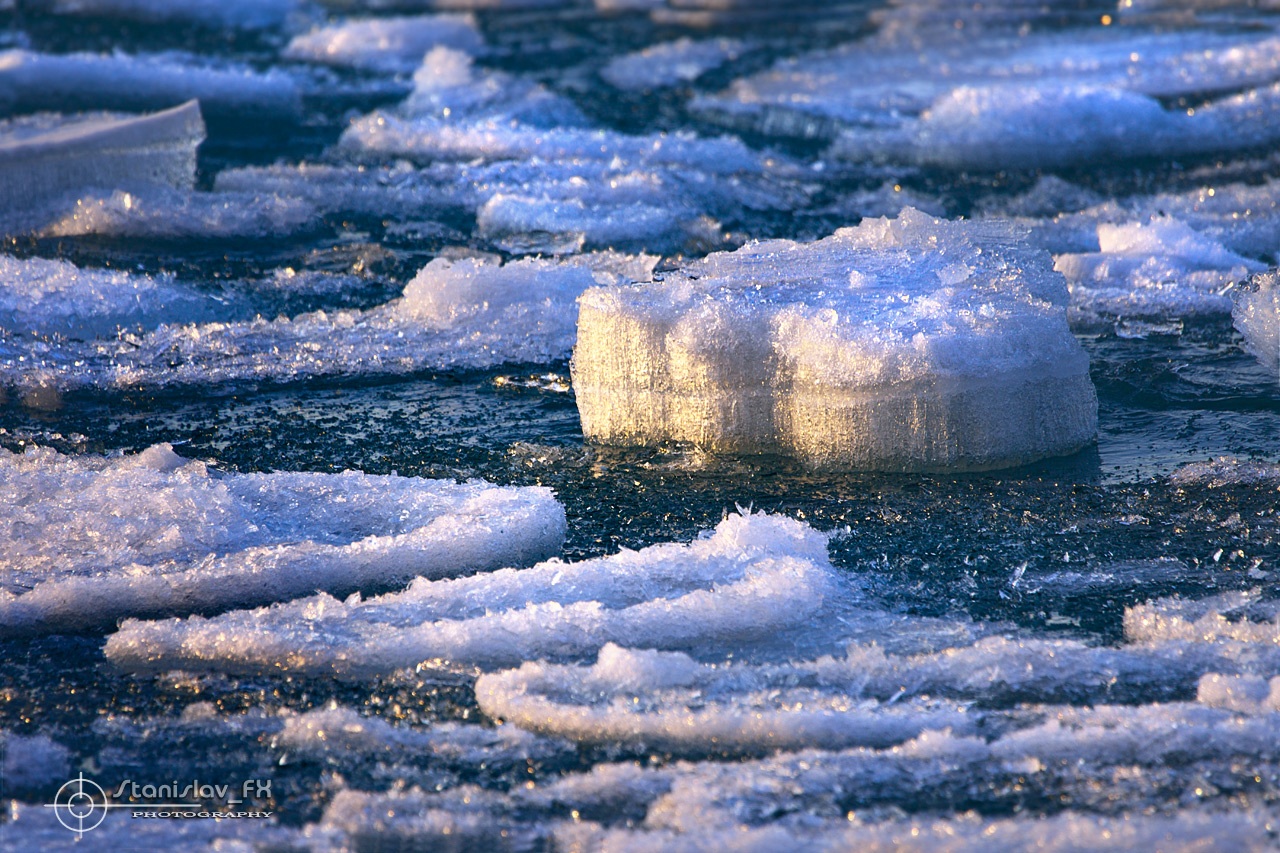 _DSC2861_Net.jpg