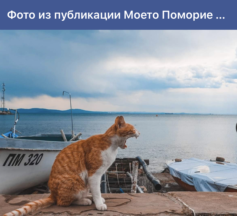 FB6EF12D-7953-4615-8E43-CFDD171D5AF6.jpeg
