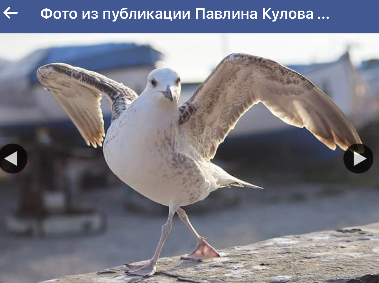 970D96EB-8AF4-4872-8703-3EA324C4013C.jpeg