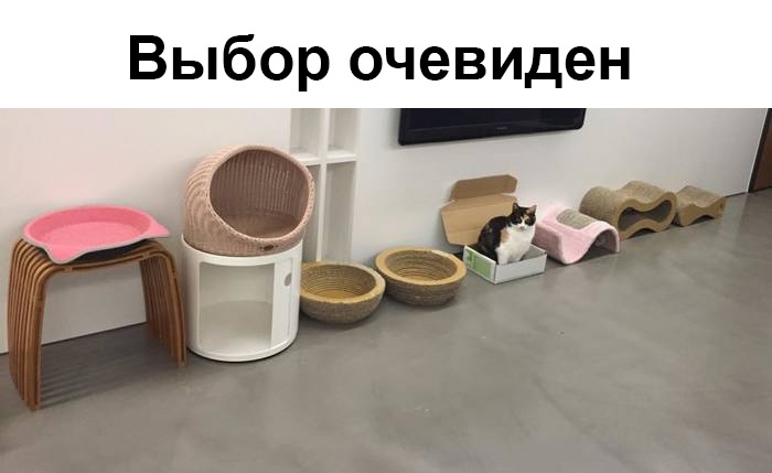 obvious.jpg