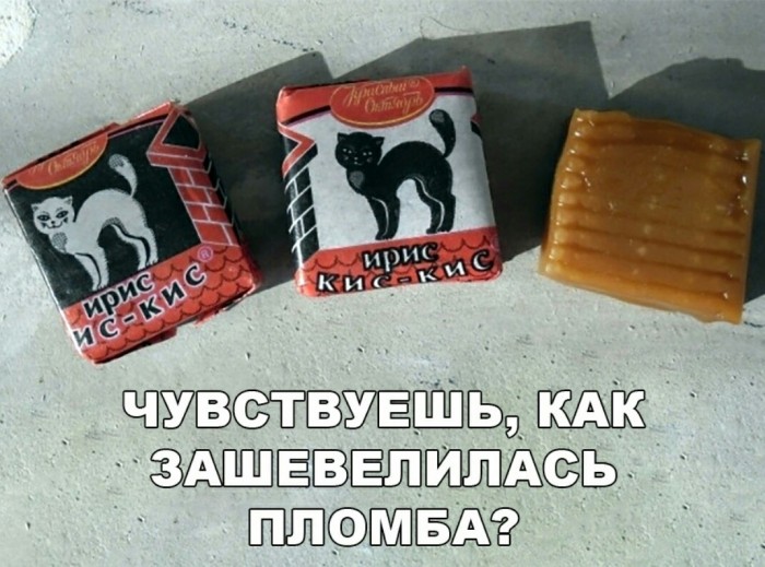 13411696.jpg