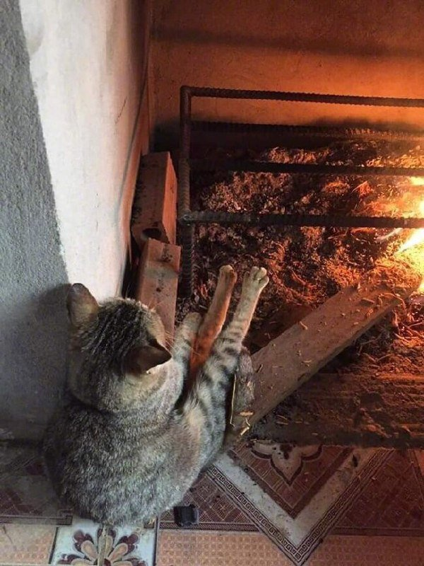 167846
