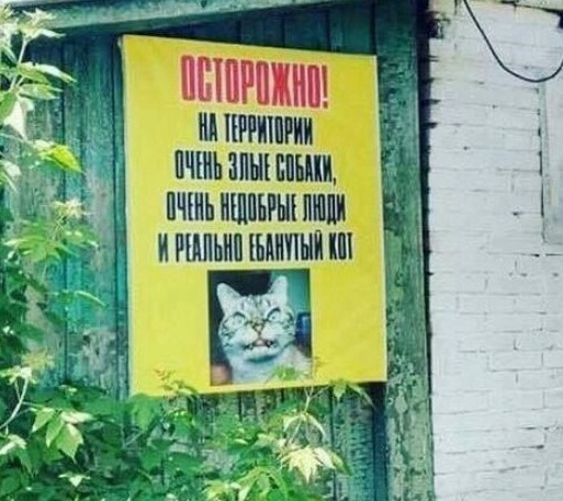 кт.jpg