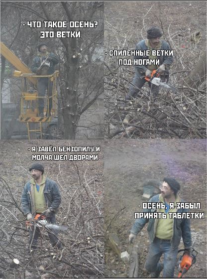 осеньДДТ.JPG