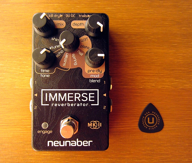immerse.jpg