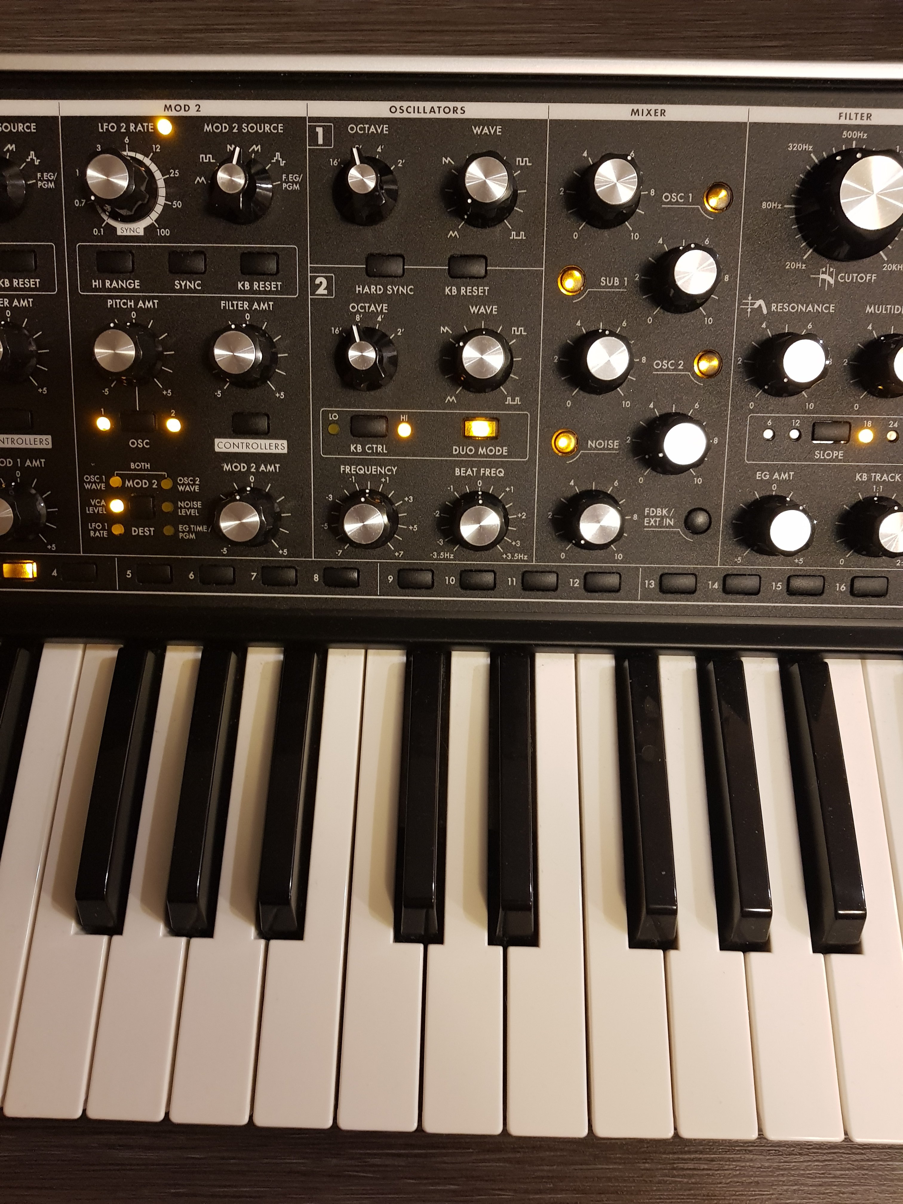 Продам - Moog Sub 37 tribute edition (Благовещенск) 85000 | Rmmedia.ru