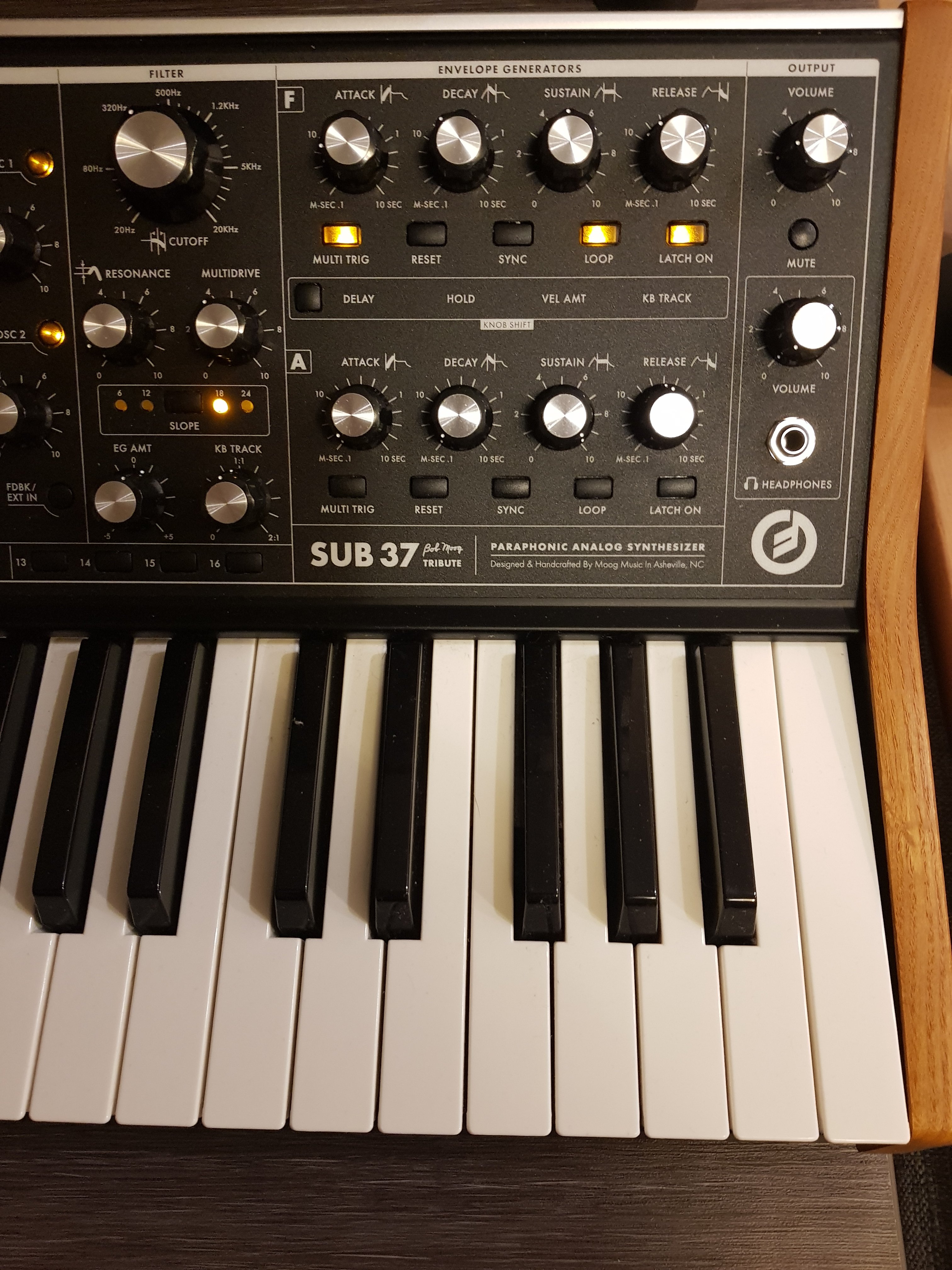 Продам - Moog Sub 37 tribute edition (Благовещенск) 85000 | Rmmedia.ru