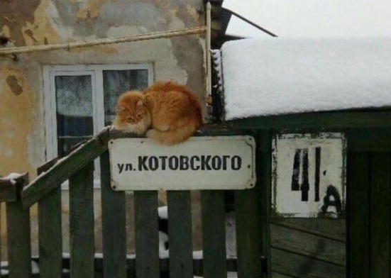 ктвс.jpg