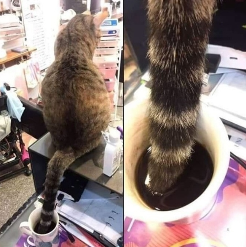 182294