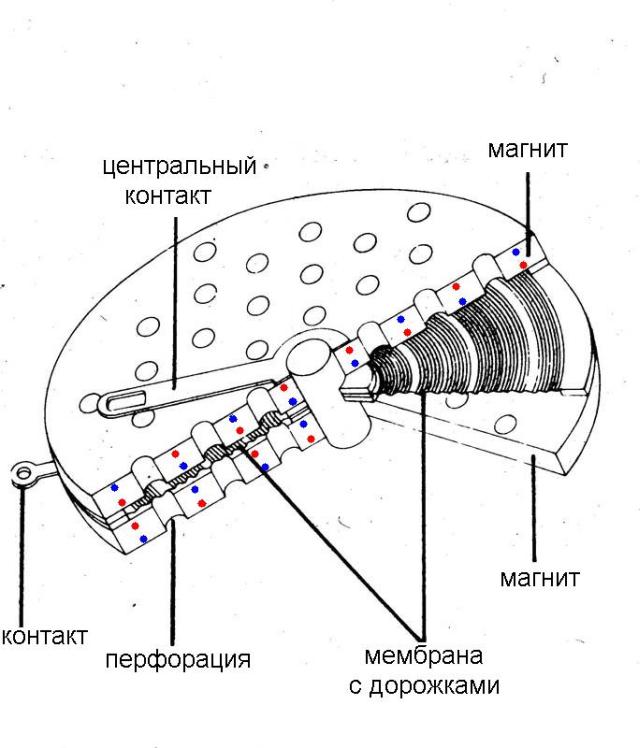 мем.jpg