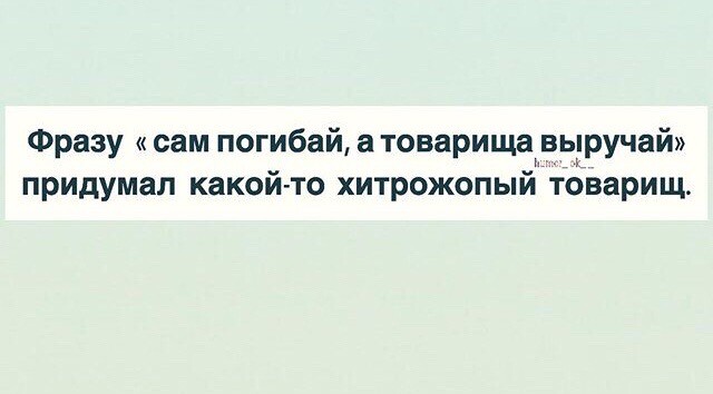 товарищ.jpg