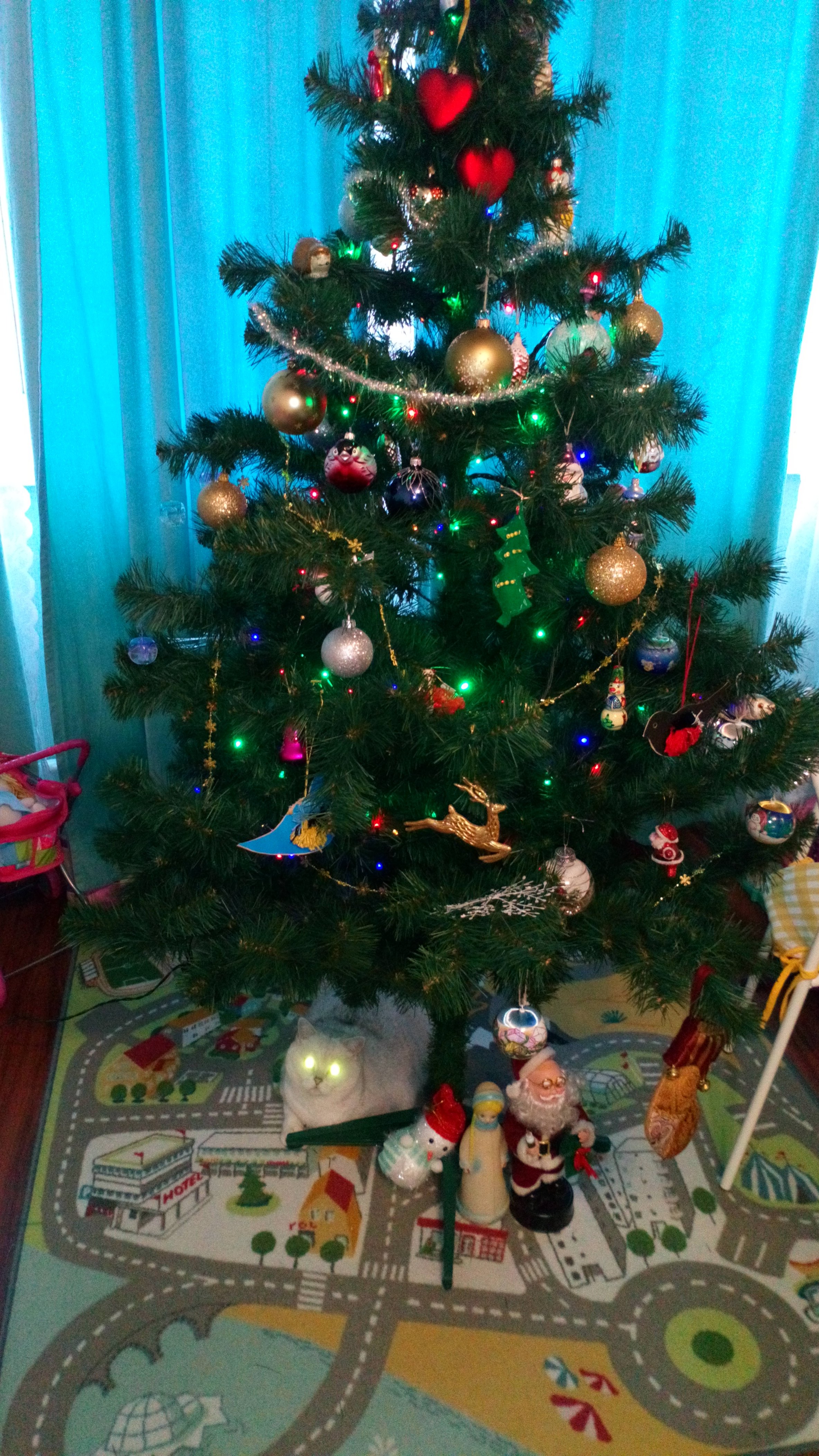 DSC_0001.JPG DSC_0001.JPG