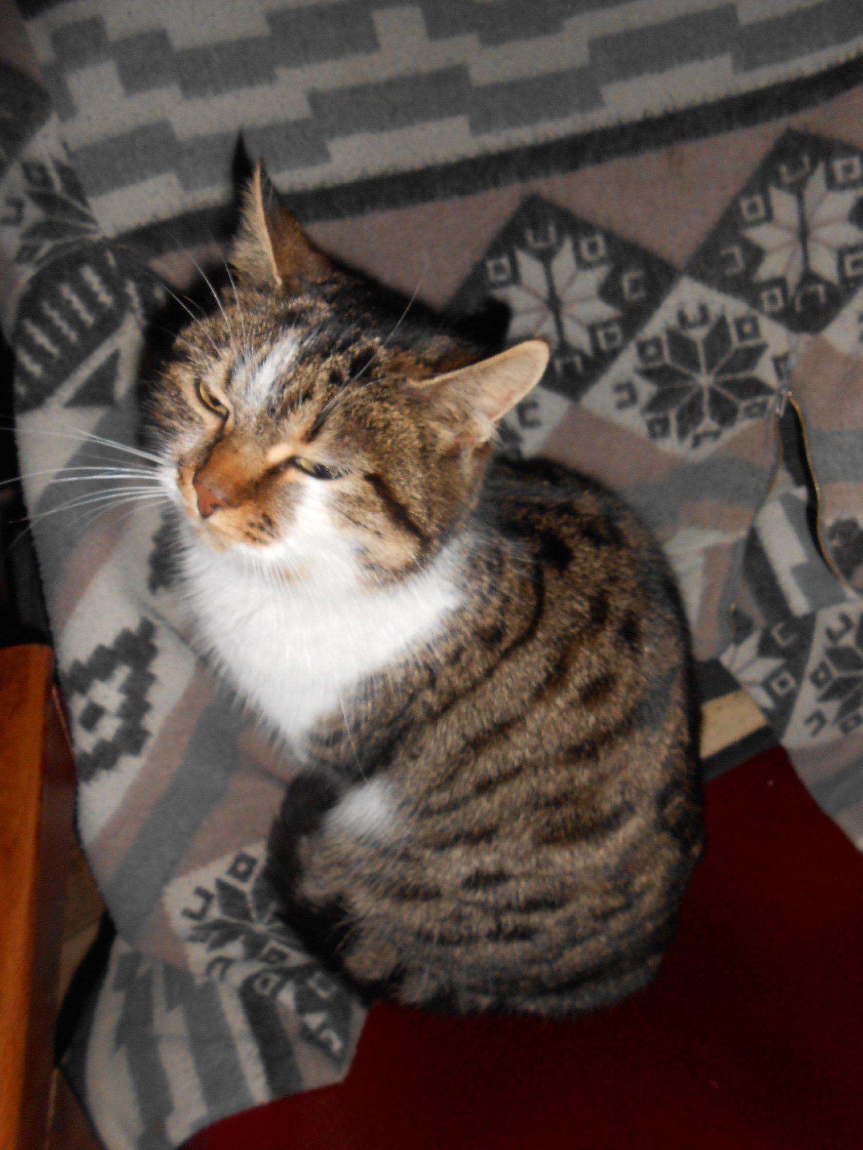 DSCN7676.JPG