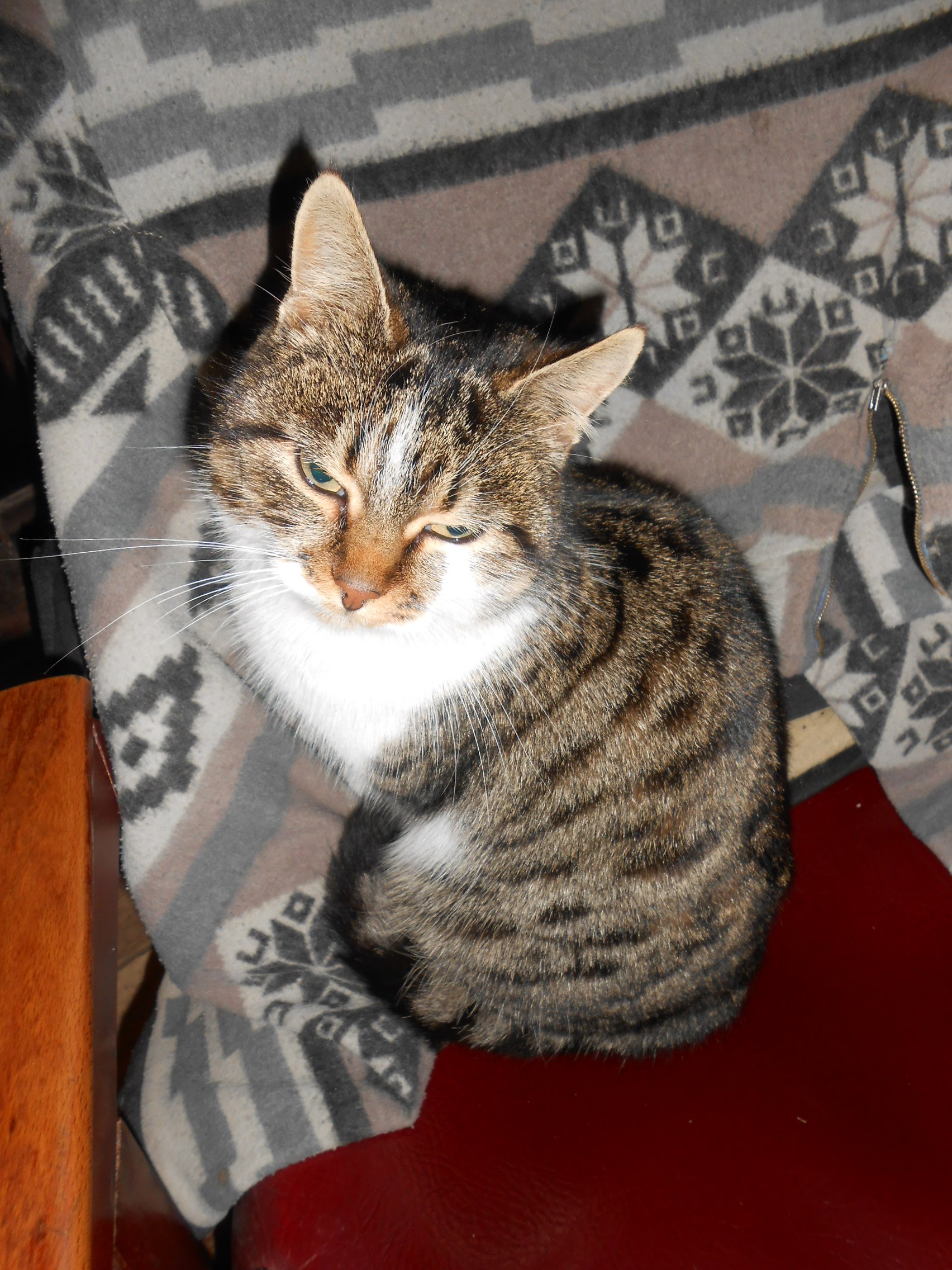 DSCN7677.JPG