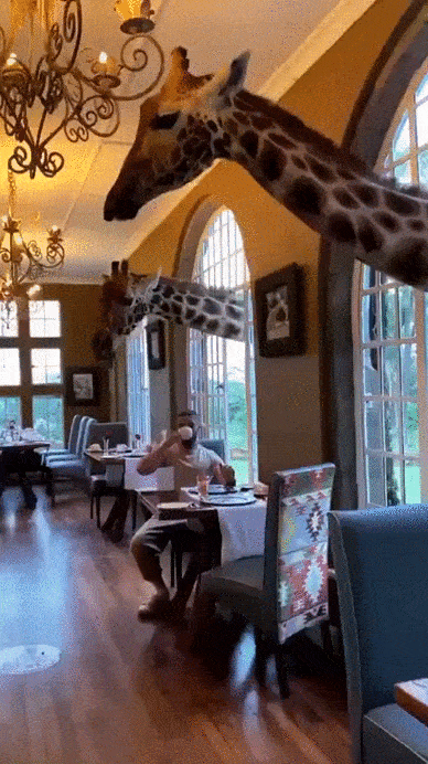 3o9jwRcHZ23DGgz3.gif