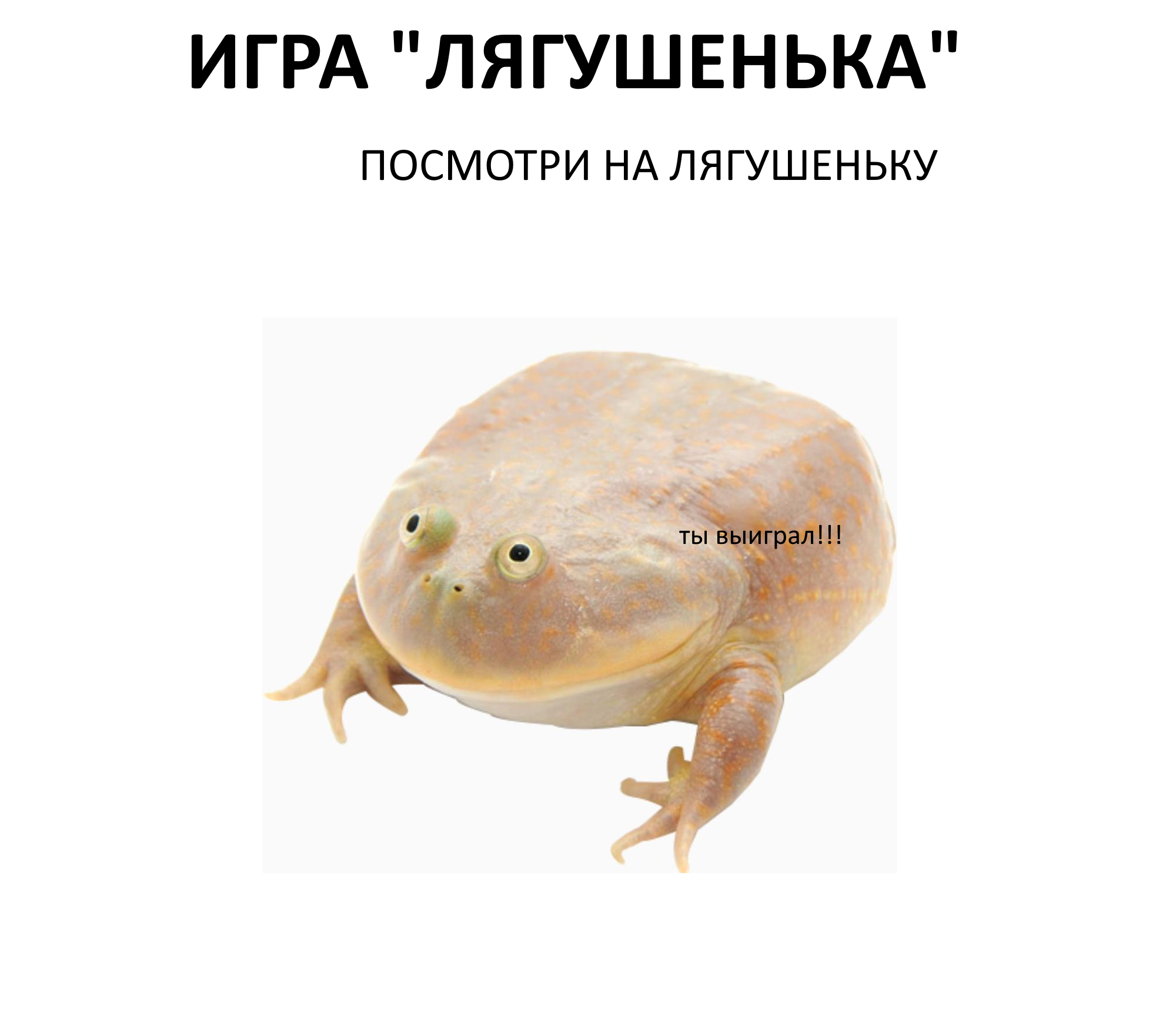 204192