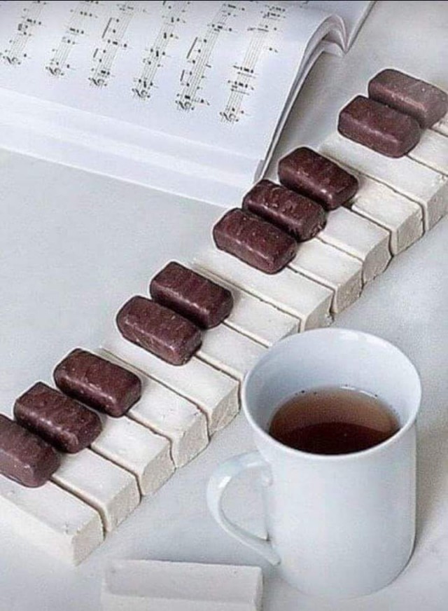 14584252.jpg