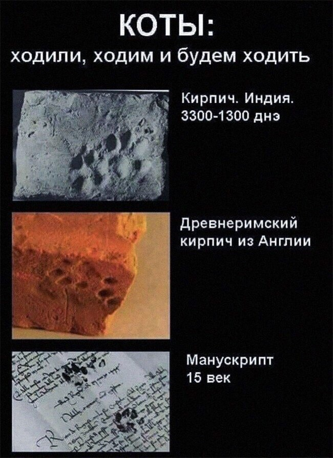 207924