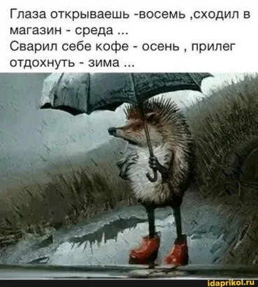 208480