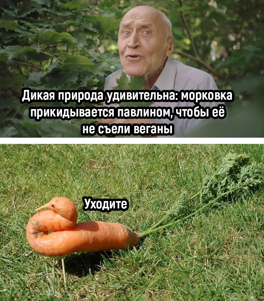 03BF3A3E-68A9-4804-B115-0E211A6A9567.png