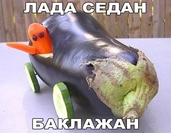 226808