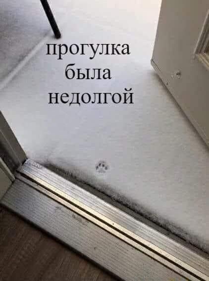 недолгой.jpg