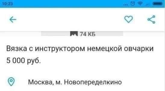 Вязка.jpg