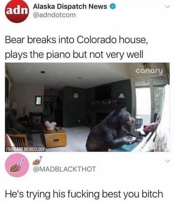 242682