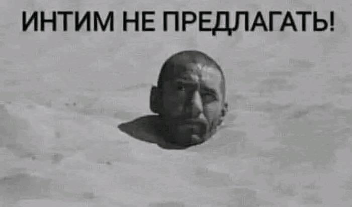 IMG_7962.jpeg